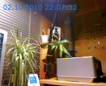 Michl`s Webcam - sporadische Aktualisierung (Logitech Webcam)