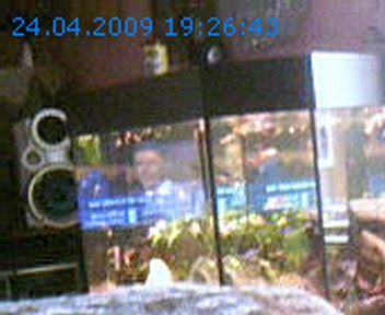 Eddi`s Webcam - sporadische Aktualisierung (Labtec Webcam)